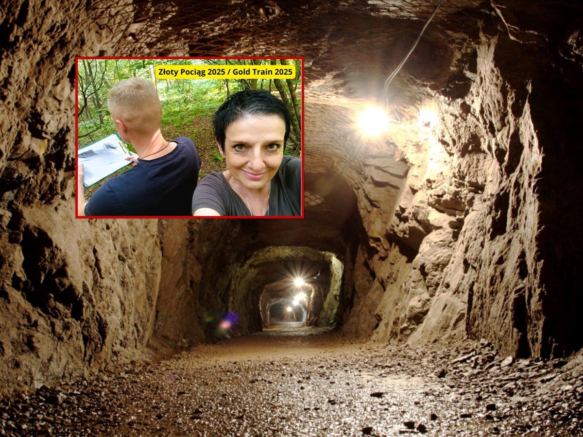 "Temat zawieszony". Nadleśnictwo o poszukiwaniach "złotego pociągu"