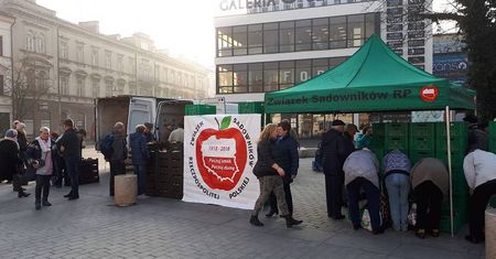 Rozdawali darmowe jabłka w Lublinie. Ludzie wynosili je siatkami