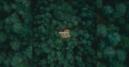 Antonow An-2 ukryty w podwarszawskim lesie. Znalazł go Damian Stęporowski