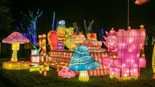 Akademia Pana Kleksa rozświetli Ogród Botaniczny. Znamy motyw nowej edycji Lumina Park Lublin