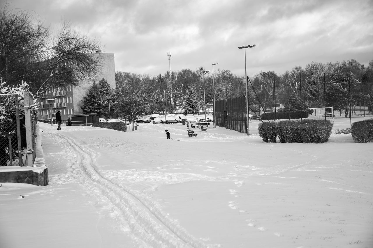 Piła, zima, śnieg