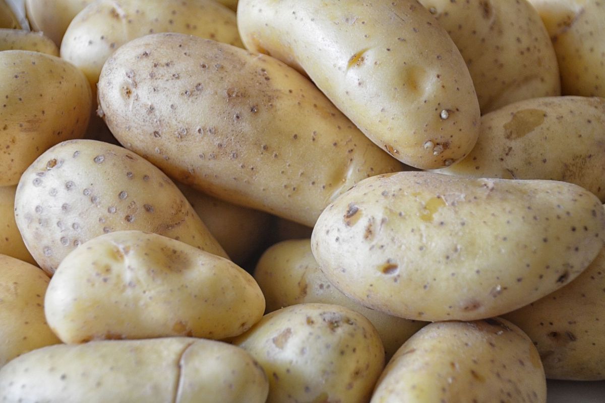 Bazą klusek szarych są surowe ziemniaki