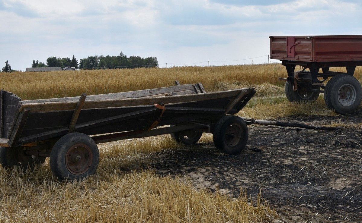 Tragiczny finał pożaru pola w miejscowości Zofijówka w powiecie łukowskim. Zmarł 50-latek