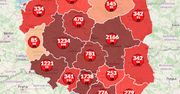Koronawirus w Polsce. Ponad 10 750 zarażonych. Na świecie już 2 710 000 [Mapa 24.04.20]