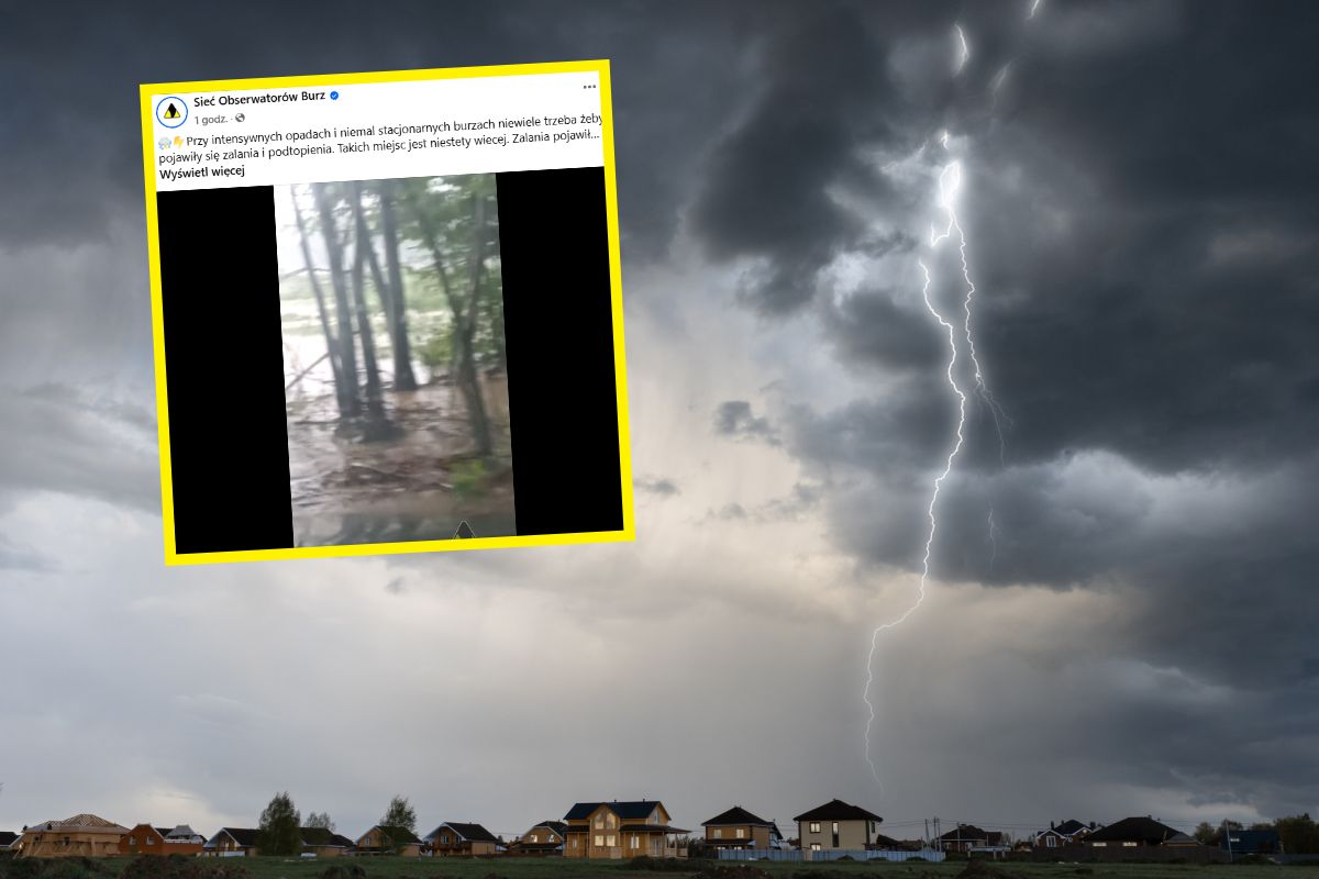 Pokazali nagranie z Podkarpacia. "Takich miejsc jest niestety więcej"