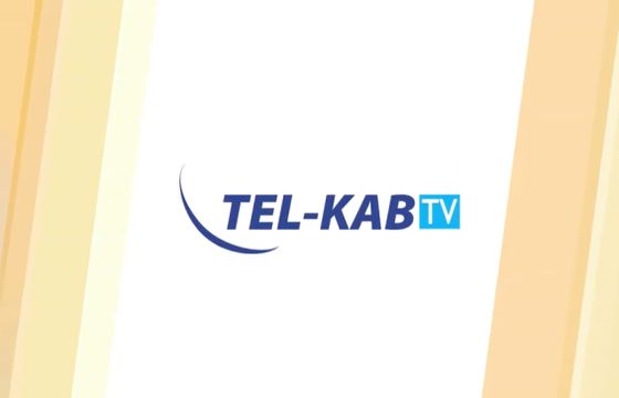 KRRiT przyznała koncesje dwóm kanałom telewizyjnym