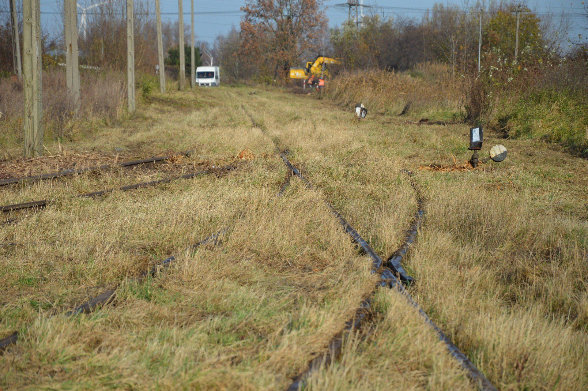 Linia nr 256 w Nowym Dworze Gdańskim