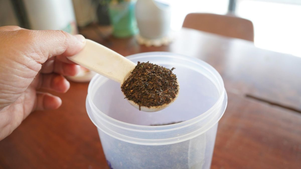 Kakao pomaga chronić naczynia krwionośne