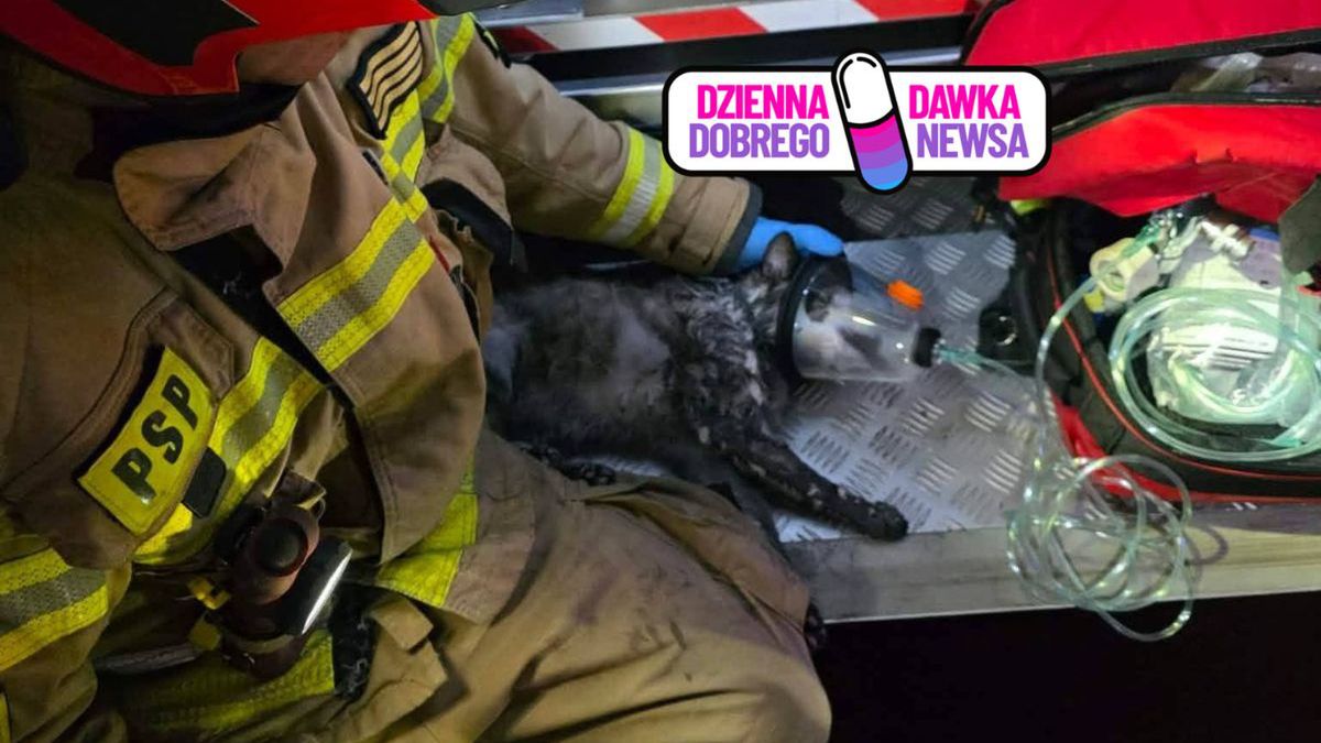 Nocna akcja zakończona sukcesem