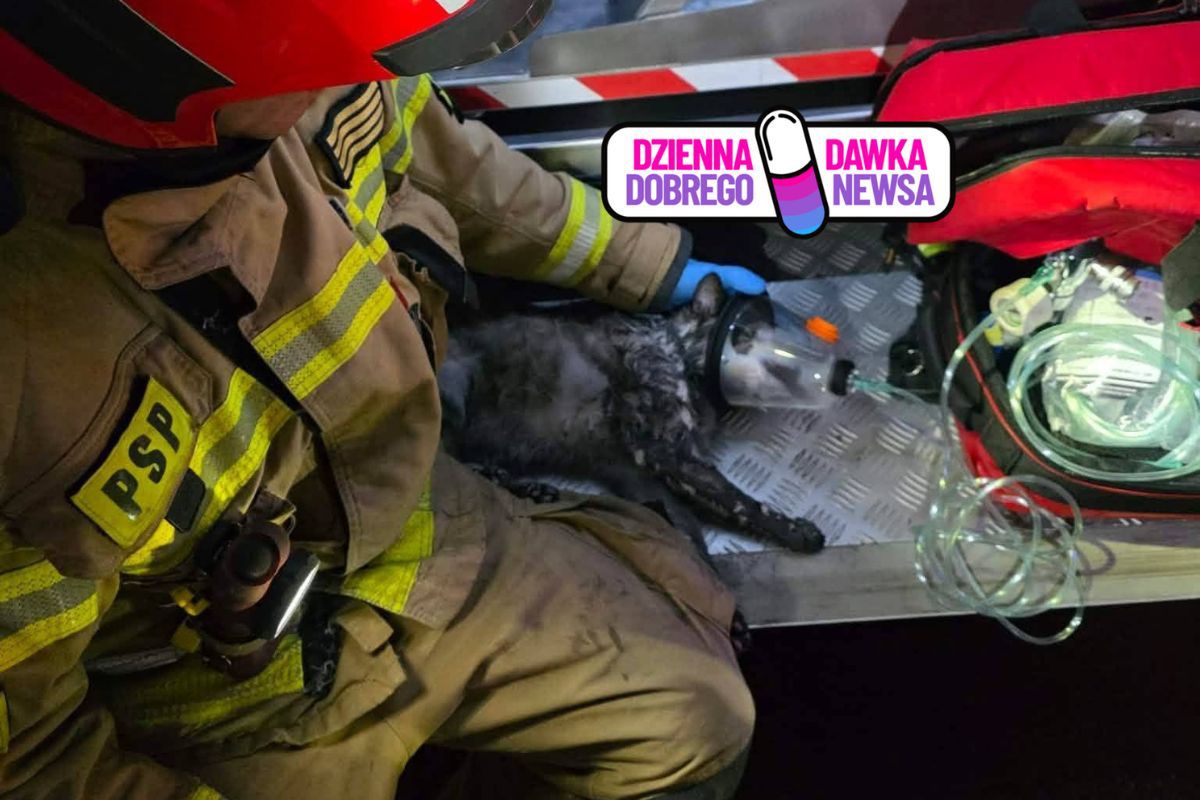 Wybuchł pożar. Nie zdołał uciec. Strażacy uratowali mu życie