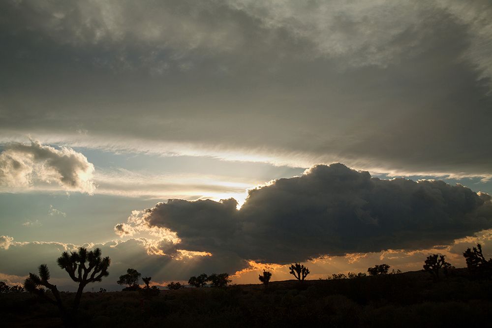 „Americana” Garroda Kirkwooda to minimalistyczny obraz wyluzowanej Kalifornii 33