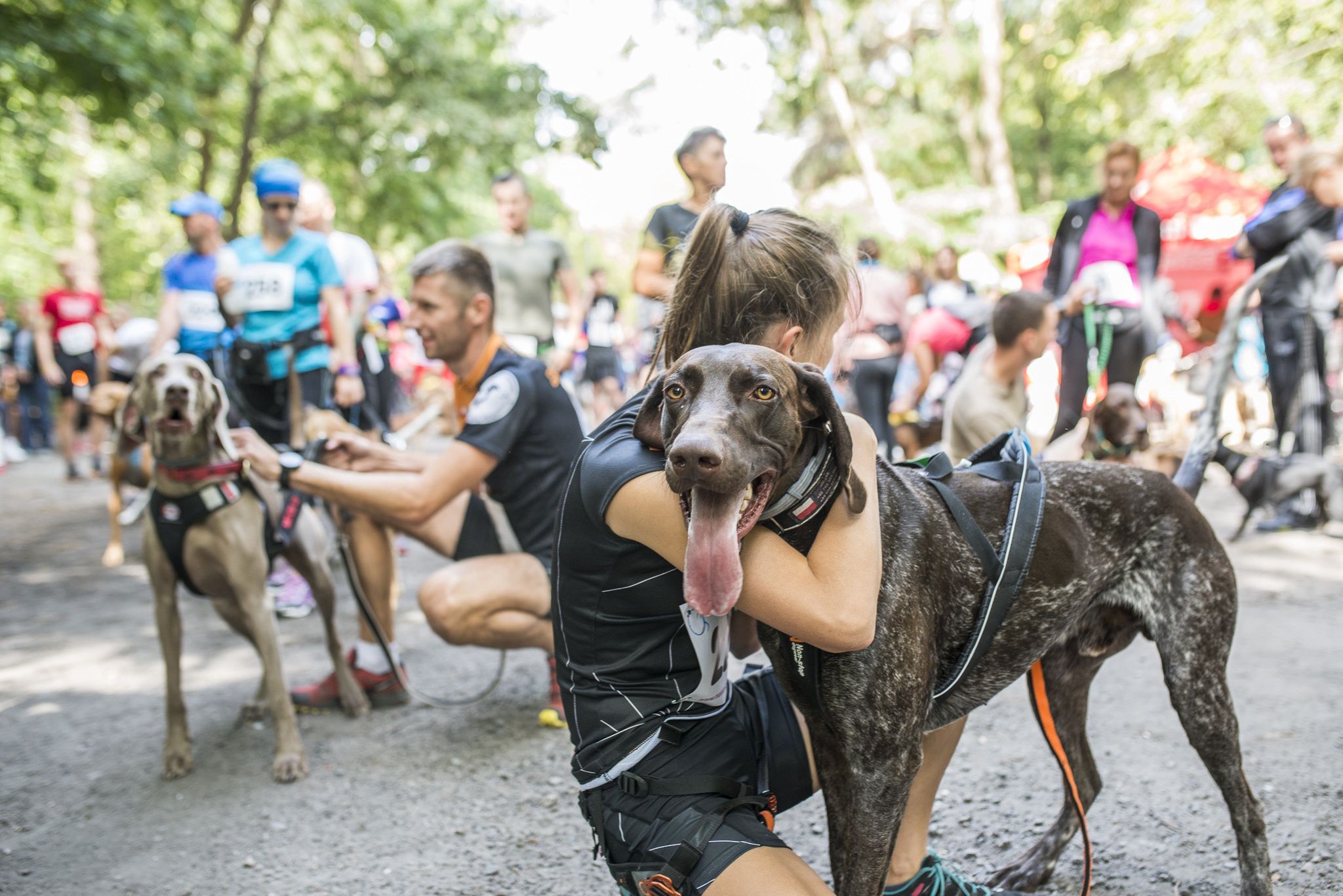 Impreza "Zabierz PIESia do Międzylesia"