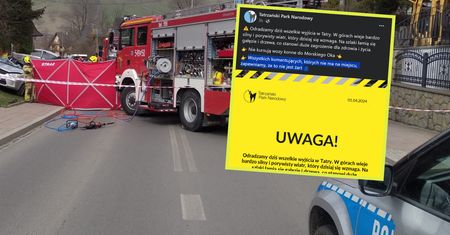 Tragedia w Zakopanem. Nie żyje kobieta przygnieciona przez drzewo