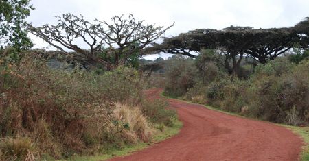 Tragiczny wypadek na drodze w Tanzanii. Co najmniej 28 ofiar