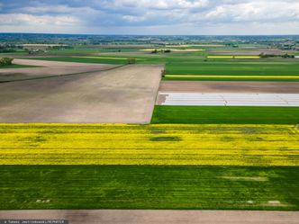 Wykup ziemii pod CPK. Przymusowe wywłaszczenia w przyszłym roku