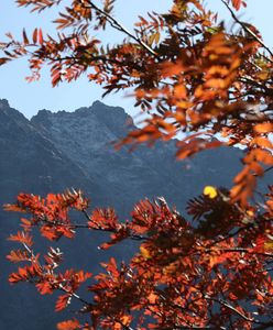Tatry. Akcja TOPR na Rysach. Utknęła tam dwójka turystów