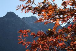 Tatry. Akcja TOPR na Rysach. Utknęła tam dwójka turystów