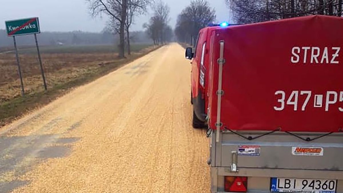 Oczom strażaków ukazała się droga pokryta kukurydzą