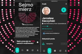 Jak pracują nasi posłowie? Powstała aplikacja, która to sprawdza
