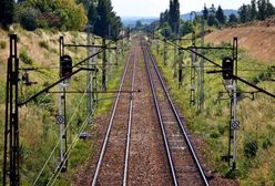 Pyrzowice. Koleją na lotnisko, a na trasie dzięcioł i sowa