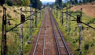 Pyrzowice. Koleją na lotnisko, a na trasie dzięcioł i sowa