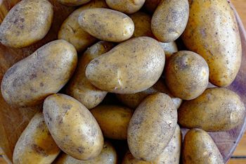 Niebezpieczne ziemniaki w Lidlu. Sklep apeluje o zwrot produktu i ostrzega przed dalszym spożyciem