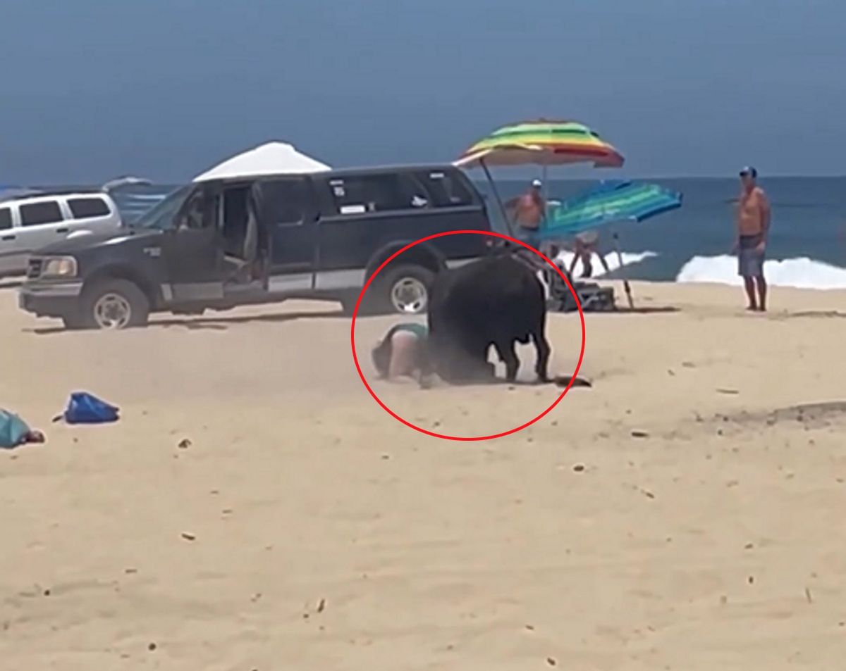 Koszmar na plaży. "Proszę nie rób tego, uciekaj!"