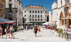 Biblijna plaga w Splicie. Chorwaci proszą o pomoc