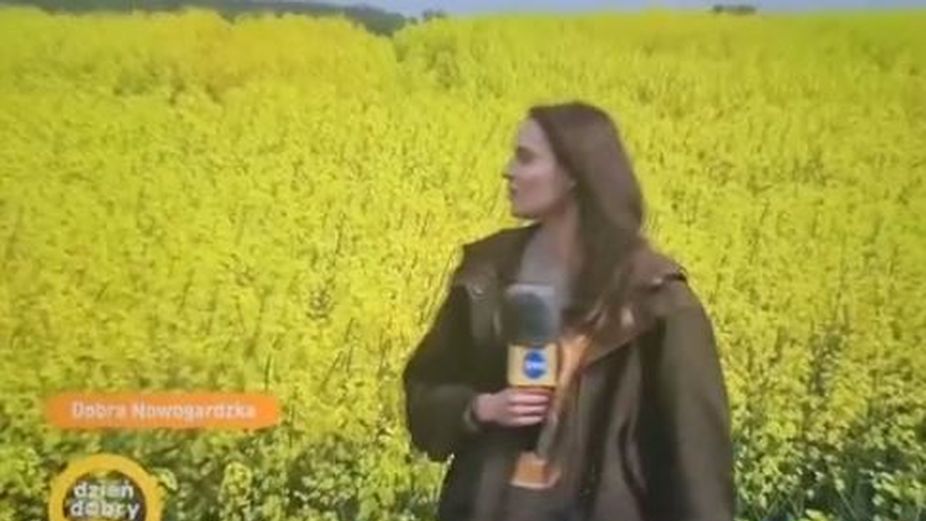 Pogodynka DDTVN zaliczyła wpadkę