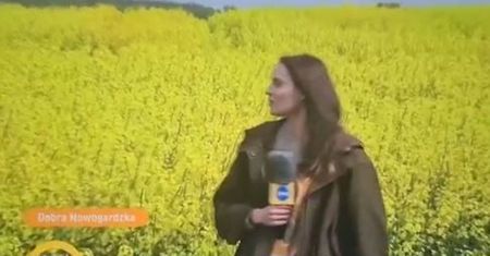 Wpadka w "Dzień Dobry TVN". Prezenterka pomyliła bez z rzepakiem