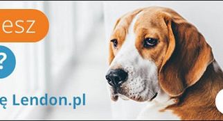 Lendon.pl reklamuje "sprawdzone pożyczki bez ukrytych kosztów"