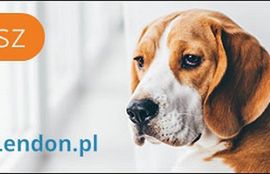 Lendon.pl reklamuje "sprawdzone pożyczki bez ukrytych kosztów"