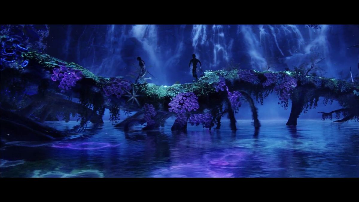 Jak wielkie znaczenie ma kolor w fotografii oraz filmie? 1