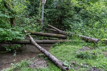 Poznań: Trwa Lato z Estradą. Plenerowe wydarzenia dla dzieci. Sprawdź!