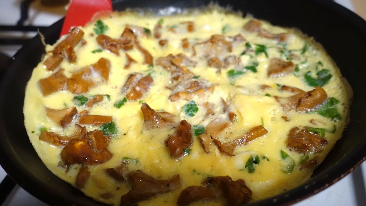 Omelette with chanterelles being cooked in a frying pan  Autumn season
Omelette with chanterelles being cooked in a frying pan  Autumn season
nobtis