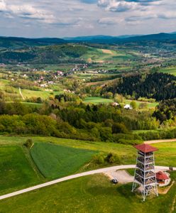 Krajowy Plan Odbudowy a rozwój polskiej wsi