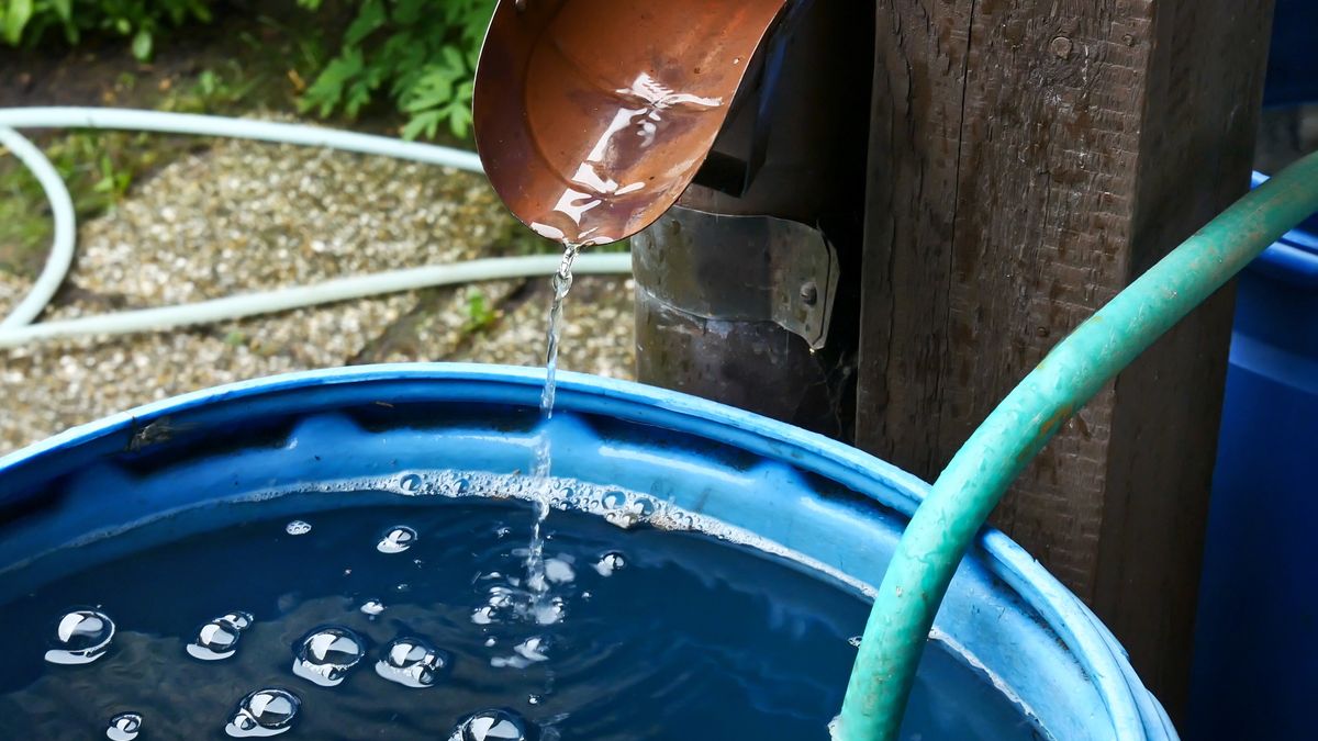 Tego nie wolno robić z deszczówką. Wysoka kara albo nawet areszt