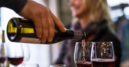 Alkohol uszkadza mózg. Naukowcy nie mają już żadnych wątpliwości