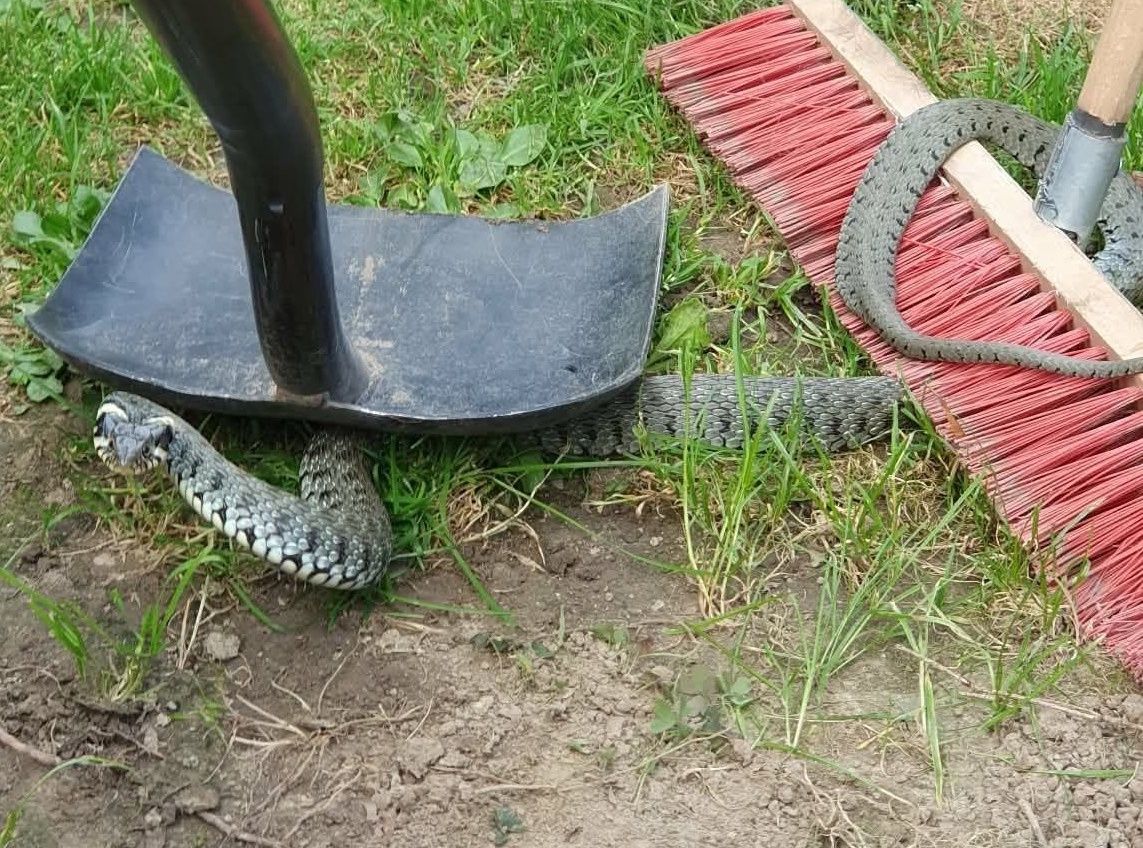 "Godz 16:08". Ruszyli na interwencję. Oto co znaleźli na działce