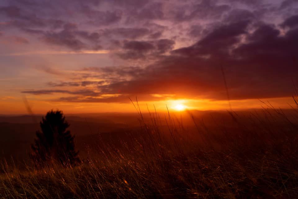 Piękno polskiej jesieni na zdjęciach naszych czytelników. W tym roku jest wyjątkowa! 13