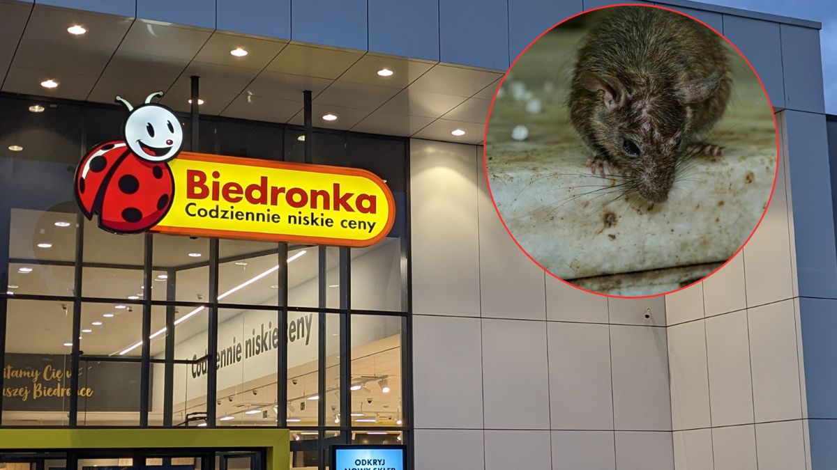 Wystarczył jeden dzień, aby Biedronka znów została zamknięta