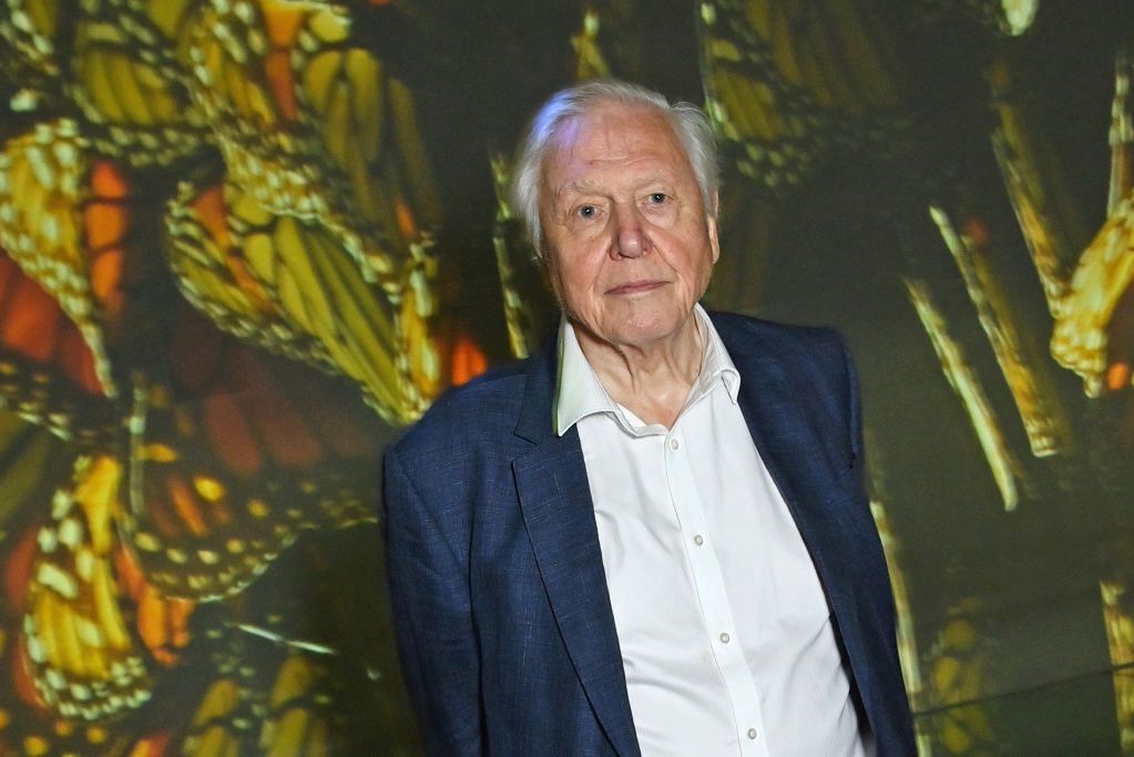 David Attenborough turns 97. Here's the product he's been avoiding