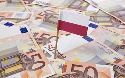 Euro poniżej 4,25 zł. Złoty najmocniejszy od roku