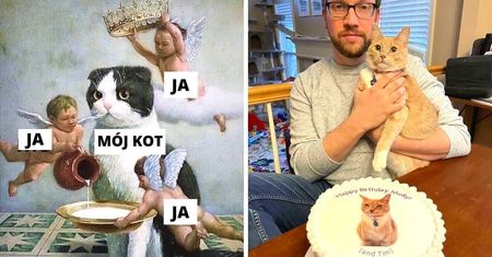 23 wyjątkowo rozpieszczone koty, które panują nad swoimi właścicielami i żyją po królewsku
