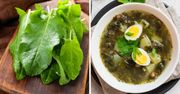 Najlepszy przepis na zupę szczawiową mamy Basi. Robimy ją w domu od lat