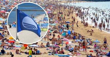 Oto najczystsze plaże w Polsce! Poznasz je po jednym szczególe
