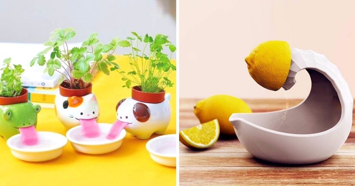 23 Gadgets Useful in the Kitchen, Which Are Not Only Practical but Also Stylish