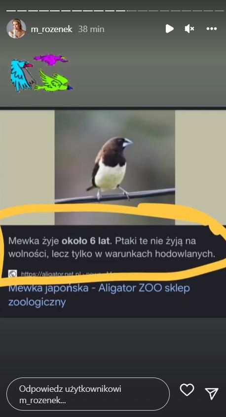 Małgorzata Rozenek reaguje na zarzuty