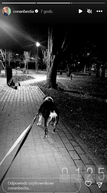 Conan Kaźmierski na spacerze z psem