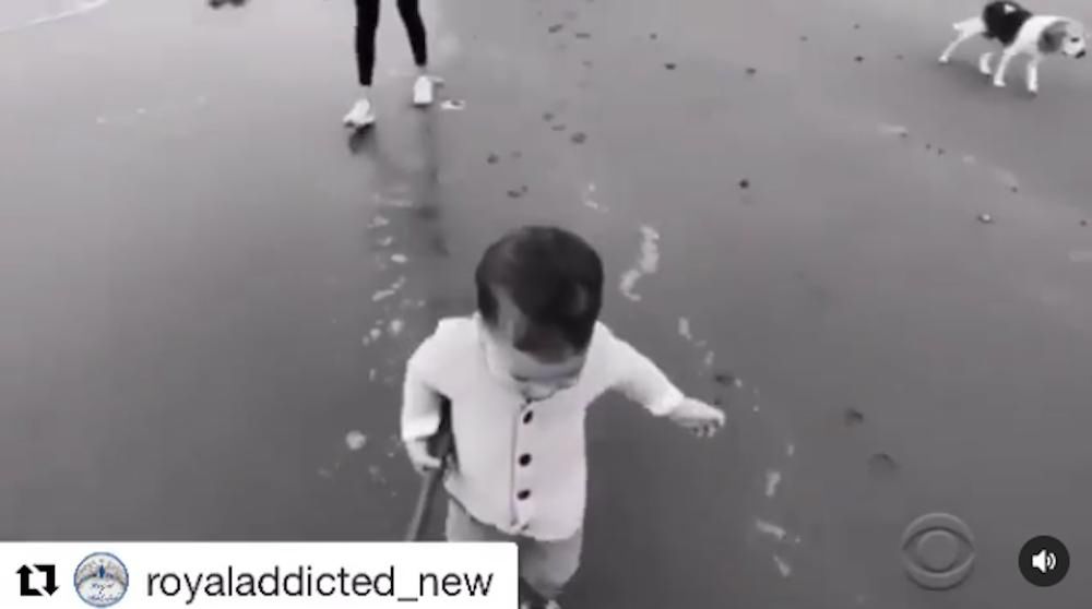 Archie Harrison na plaży